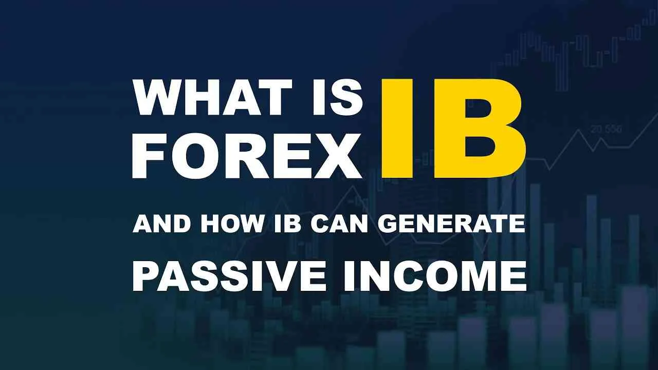 ib
